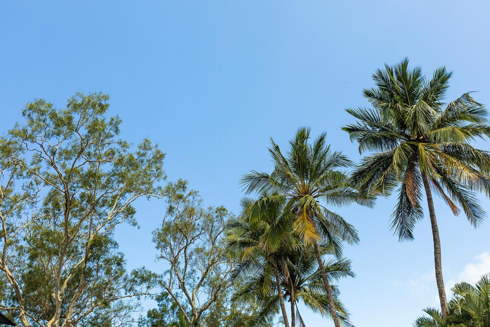 Kipara Tropical Rainforest Retreat Airlie Beach Exterior photo